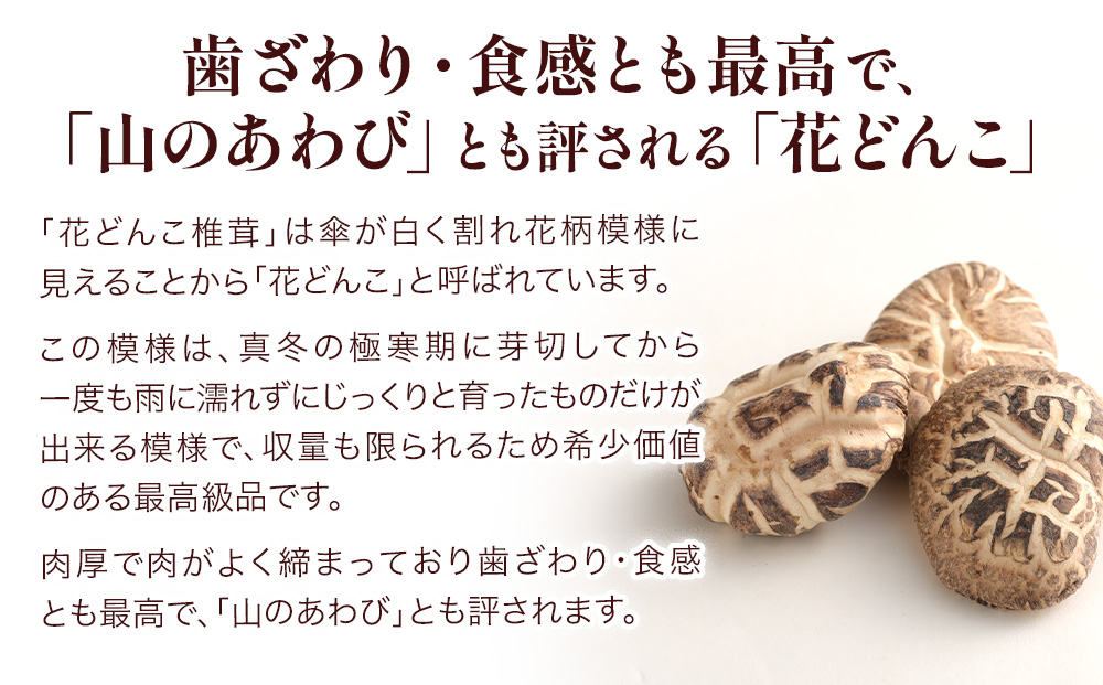 最高級 大分県産 花どんこ椎茸 380g 花どんこ 山のあわび 乾燥椎茸 乾燥 しいたけ 干し椎茸 乾し椎茸 乾燥野菜 大分県 津久見市 九州産野菜 熨斗対応【tsu003304】