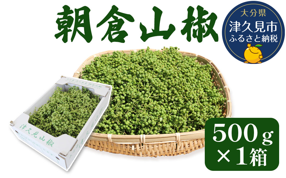 数量限定！朝倉山椒 500ｇ×1箱 生山椒 枝付き さんしょう サンショウ 花椒 ホアジャオ スパイス 調味料 大分県産 九州産 津久見市 国産【tsu000802】
