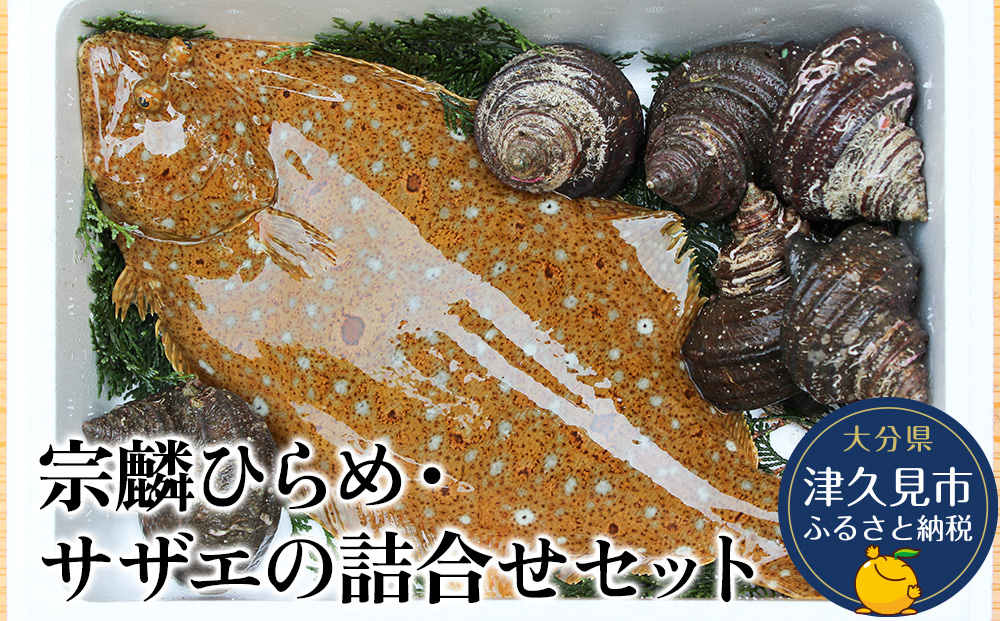 宗麟ひらめ・サザエの詰合せセット  ヒラメ 平目 鮃 刺身 刺し身 生魚 新鮮 大分県産 九州産 津久見市 国産【tsu002603】