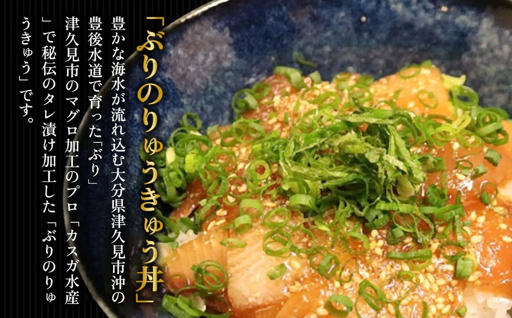 どんぶり3種セット ぶりのりゅうきゅう丼・まぐろの漬け丼（ひゅうが丼）・まぐろのたたき（ねぎとろ）セット ねぎとろ 鮪丼 まぐろ 大分県産 九州産 津久見市 熨斗対応【tsu000303】