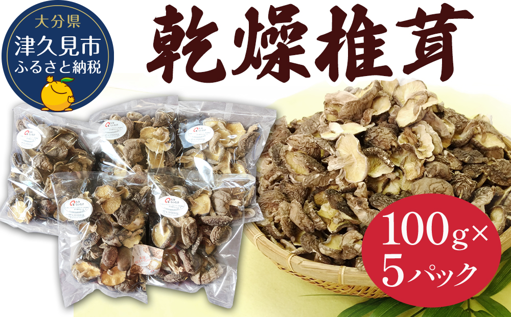 乾燥椎茸 訳あり 椎茸100g×5パック 干し椎茸 しいたけ 乾燥しいたけ 原木 大分県 津久見市 九州産野菜【tsu003310】