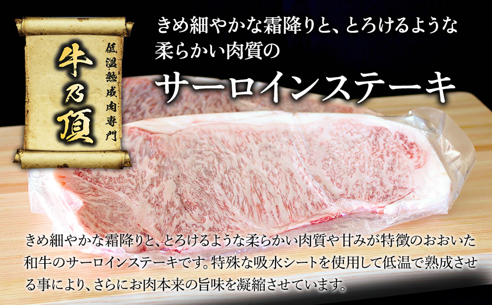 おおいた和牛 サーロインステーキ 約200g×2枚(合計400g) 牛肉 和牛 豊後牛 赤身肉 焼き肉 焼肉 ステーキ肉 大分県産 九州産 津久見市 熨斗対応【tsu001803】