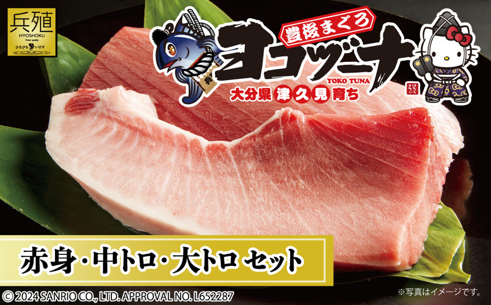 豊後まぐろ ヨコヅーナ 贅沢セット 赤身250g 中トロ500g 大トロ250g入りの豪華セット 大分県産 九州産 津久見市 熨斗対応【tsu0003017】