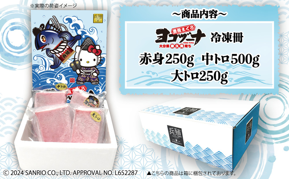 豊後まぐろ ヨコヅーナ 贅沢セット 赤身250g 中トロ500g 大トロ250g入りの豪華セット 大分県産 九州産 津久見市 熨斗対応【tsu0003017】