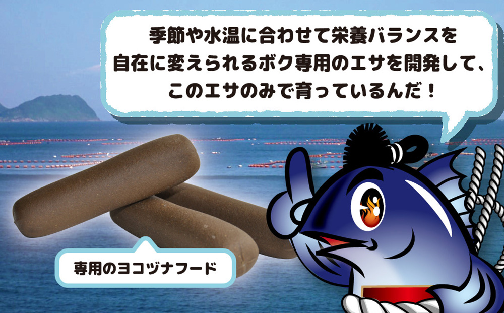 豊後まぐろ ヨコヅーナ刺身用・中トロ 400g 鮪 マグロ 海鮮丼 刺し身 盛り合わせ 冷凍 魚の刺身 大分県産 九州産 津久見市 熨斗対応【tsu000308】