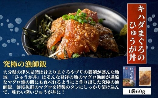 海鮮丼 / 漬け丼 豊後水道の海鮮丼（漬け丼） 3種食べ比べ海鮮丼セット＜キハダまぐろのひゅうが丼/活きぶり丼/津あじ丼＞各2食ずつ計6食 | 海鮮丼 漬け丼 漬丼 かいせんどん カイセンドン 丼 食べ比べ 鮪 マグロ 鰤 ブリ 鯵 アジ 大分郷土料理 魚 冷凍 クール便 加工品 惣菜 刺身 詰め合わせ 九州 大分県 津久見市 【tsu005701】