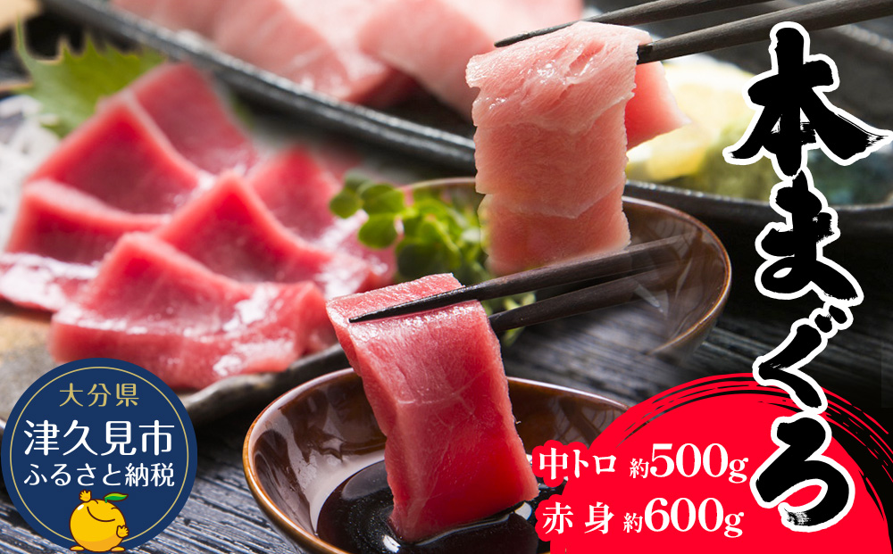 本マグロ まぐろ 中トロ 約500g・赤身 約600gセット 鮪 海鮮丼 刺し身 刺身 盛り合わせ 冷凍 魚の刺身 大分県産 九州産 津久見市 熨斗対応【tsu000309】