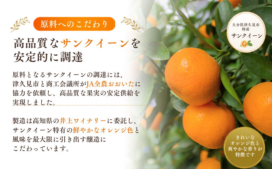 【数量限定】つくみ Premium SUNQUEEN WINE 1本 | ワイン サンクイーン 柑橘系 果物 お酒 熨斗対応可 九州 大分県 津久見市 【tsu005501】