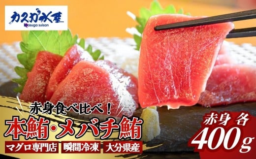 【本マグロ・メバチまぐろ / マグロ食べ比べ】まぐろ赤身食べ比べセット (各400g／計800g) | 本まぐろ マグロ まぐろ冊 マグロ刺身 まぐろ食べ比べ メバチマグロ まぐろ丼 マグロ刺身 あかみ 本鮪 赤身 食べ比べ 海鮮丼 津久見市  【tsu0003028】