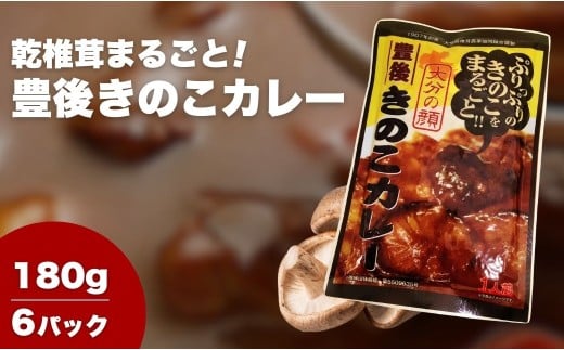 豊後きのこカレー ×6 |  椎茸 しいたけ  レトルト 惣菜 大分県産 九州産 津久見市 【tsu004605】