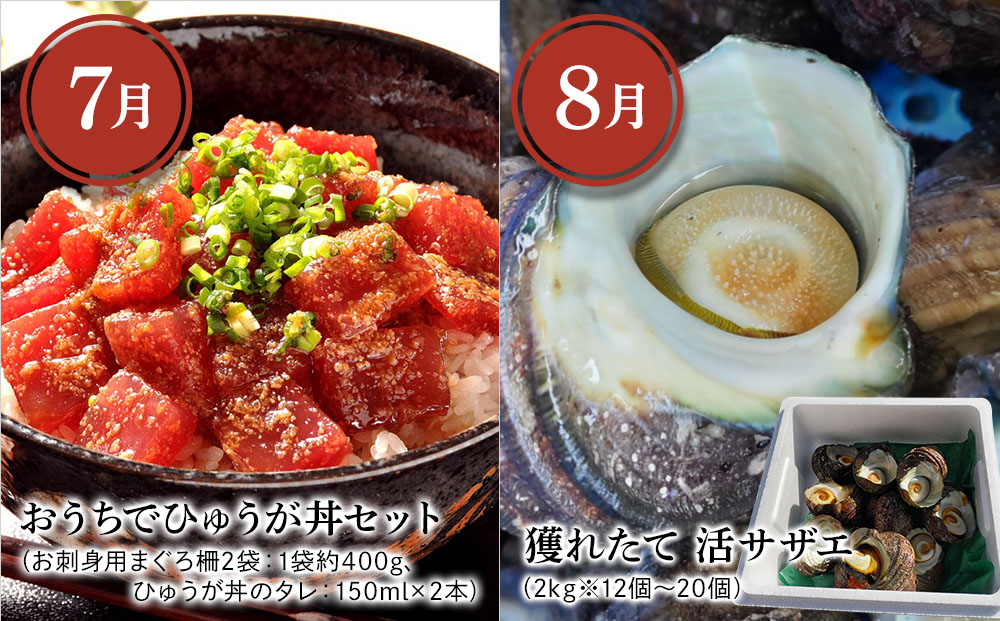 【6ヶ月定期便】つくみグルメDコース【3月から計6回】おおいた和牛焼肉セット、まぐろカマとカマのスライス、鳥いちのから揚げ、本まぐろ中トロ、ひゅうが丼、活サザエ