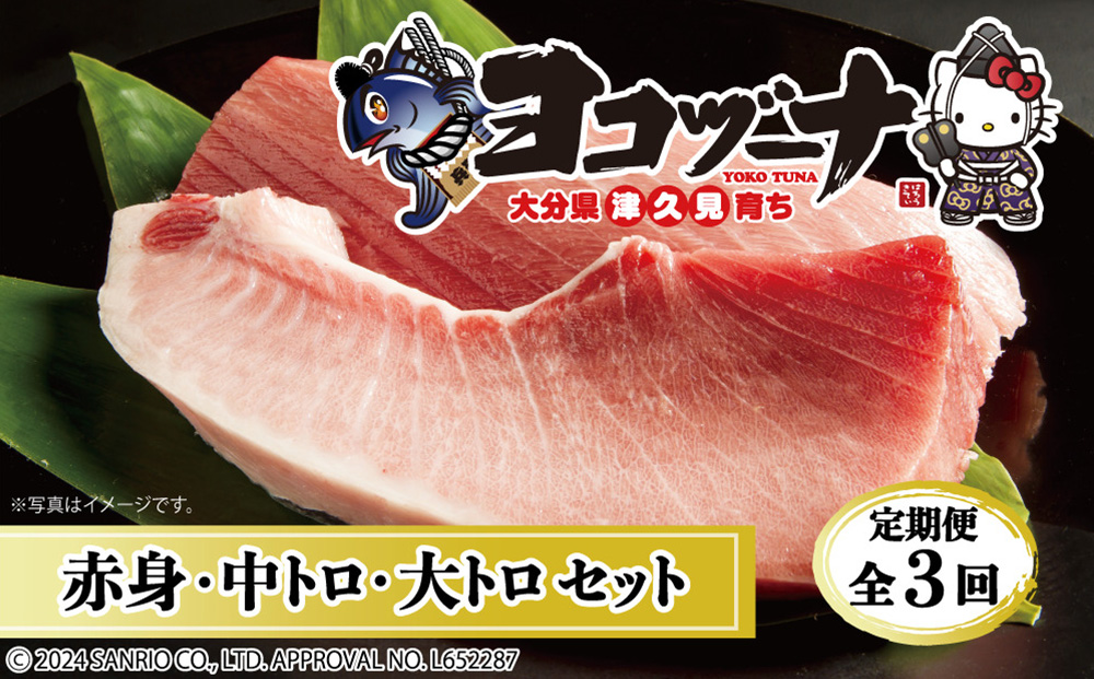 【定期便3回】豊後まぐろヨコヅーナ贅沢セット全3回 赤身250g 中トロ500g 大トロ250g入りの豪華セット 大分県産 九州産 津久見市【tsu0003019】