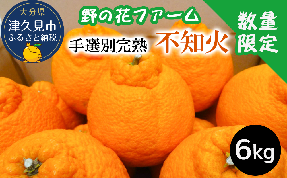 【先行予約・数量限定】野の花ファーム 不知火 6kg 手選別完熟 | みかん ミカン オレンジ フルーツ 柑橘類 大分県産 九州産 津久見市 国産【tsu002803】
