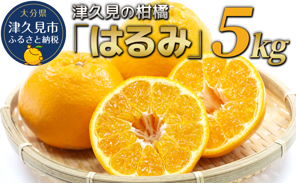【先行予約】津久見のみかん はるみ 5kg ミカン 蜜柑 オレンジ 果実 旬のフルーツ 大分県産 九州産 津久見市 国産【tsu003205】