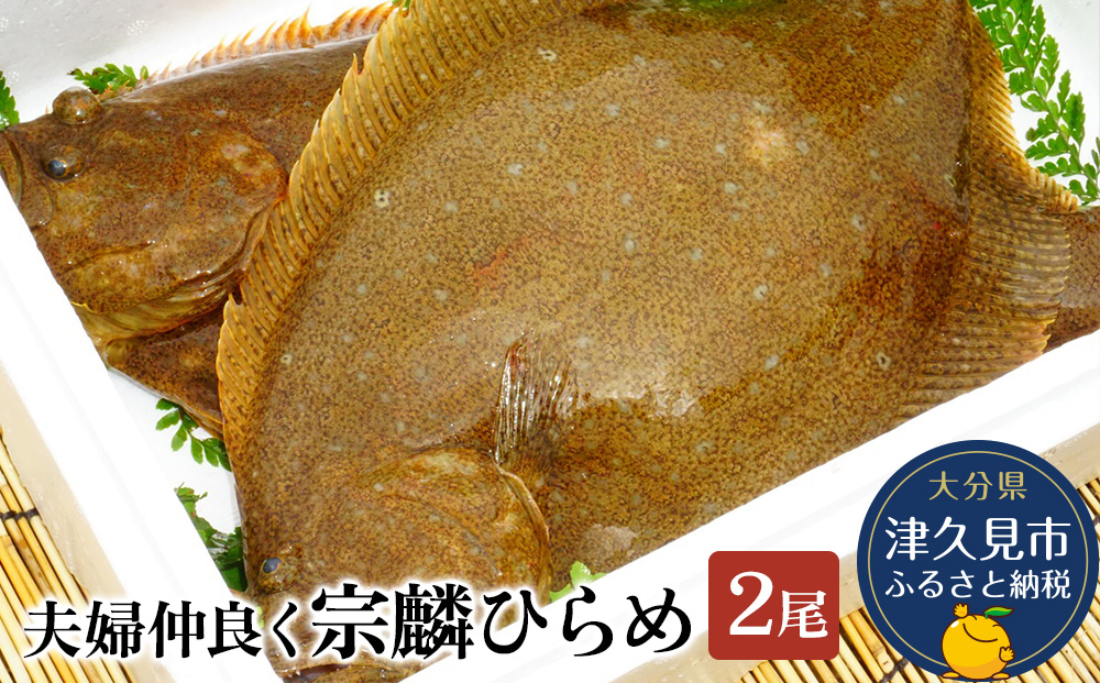 夫婦仲良く宗麟ひらめ  ヒラメ 平目 鮃 刺身 刺し身 生魚 新鮮 大分県産 九州産 津久見市 国産【tsu002602】