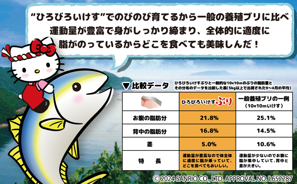 【先行予約】ひろびろいけすぶり(フィレ・片身)1枚 ぶり 鰤 刺し身 刺身 鰤 大分県産 九州産 津久見市 国産【tsu001102】