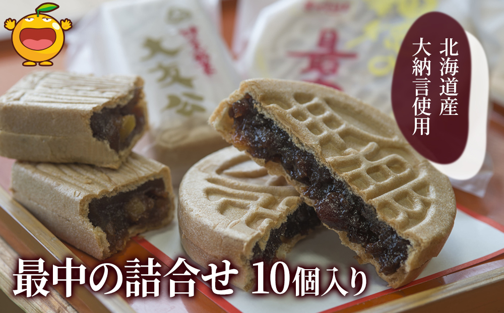 最中の詰合せ 10個入り 和菓子 茶菓子 もなか お中元 お歳暮 ギフト お供物 大分県産 九州産 津久見市 熨斗対応【tsu000502】