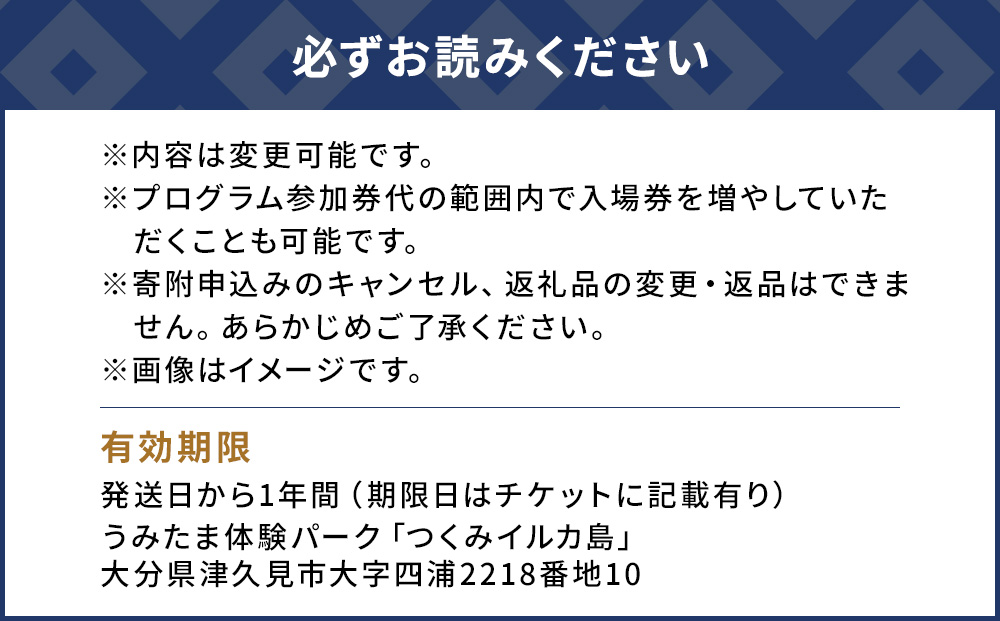 イルカに癒されるFor Couple（イルカとふれあい満喫チケット）体験チケット レジャーチケット アクティビティ 動物ふれあい 大分県産 九州産 津久見市 熨斗対応【tsu001203】