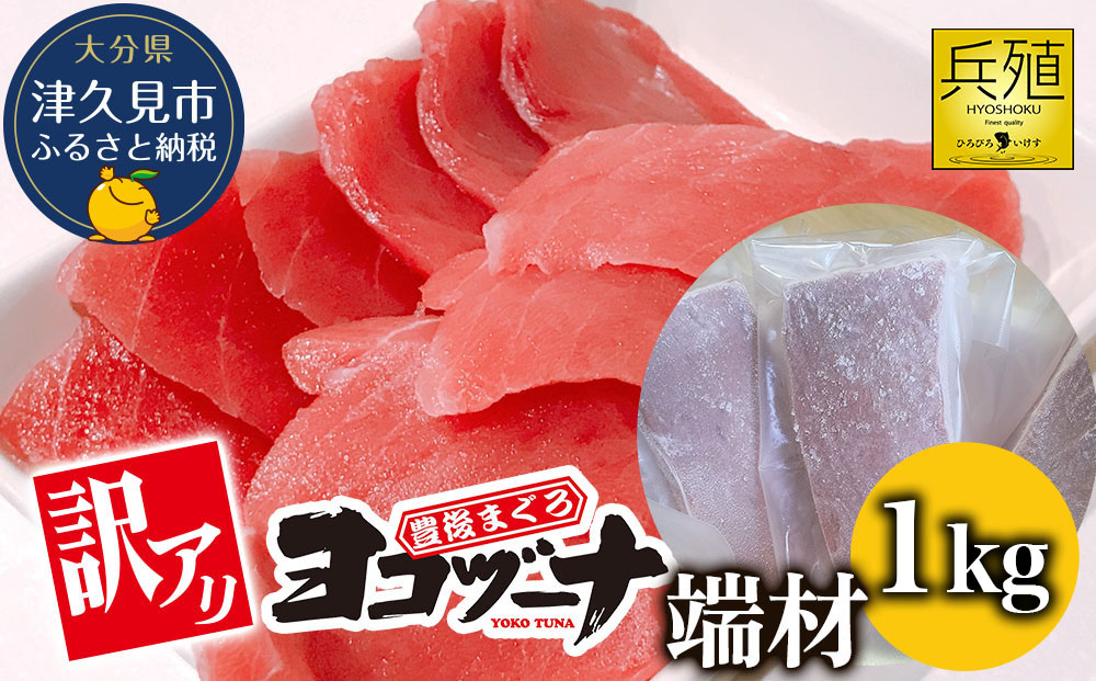 豊後まぐろ ヨコヅーナ 訳あり 端材 1kg 鮪 マグロ かま 海鮮丼 希少部位 カマトロ 刺し身 BBQ 塩焼き 煮つけ 冷凍 漬け丼 大分県産 九州産 津久見市 国産