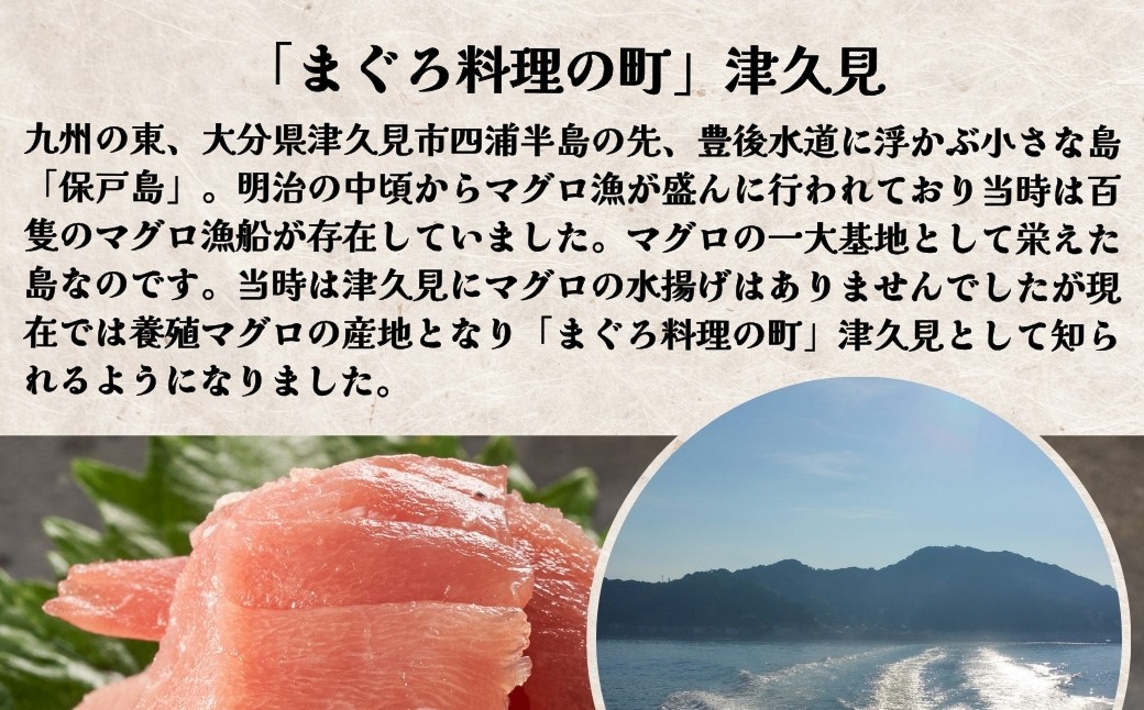大分県の郷土料理 ぶりのりゅうきゅう 100g×8食 海鮮丼 刺し身 刺身 鰤 大分県産 九州産 津久見市 熨斗対応【tsu000306】