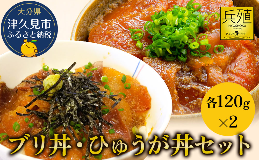 ブリ丼・ひゅうが丼セット 各120g×2 ひろびろいけすぶり 豊後まぐろ ヨコヅーナ  鮪 マグロ 海鮮丼 刺し身 盛り合わせ 冷凍 新鮮 漬け丼 大分県産 九州産 津久見市 国産