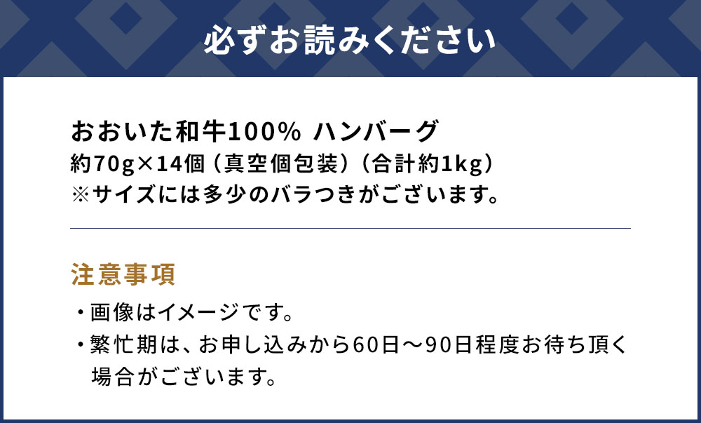 おおいた和牛100% ハンバーグ 約70g×14個 合計約1kg 牛肉 豊後牛 ハンバーグ おかず お弁当 小分け レンジ 時短料理 惣菜 冷凍 大分県産 九州産 津久見市 国産