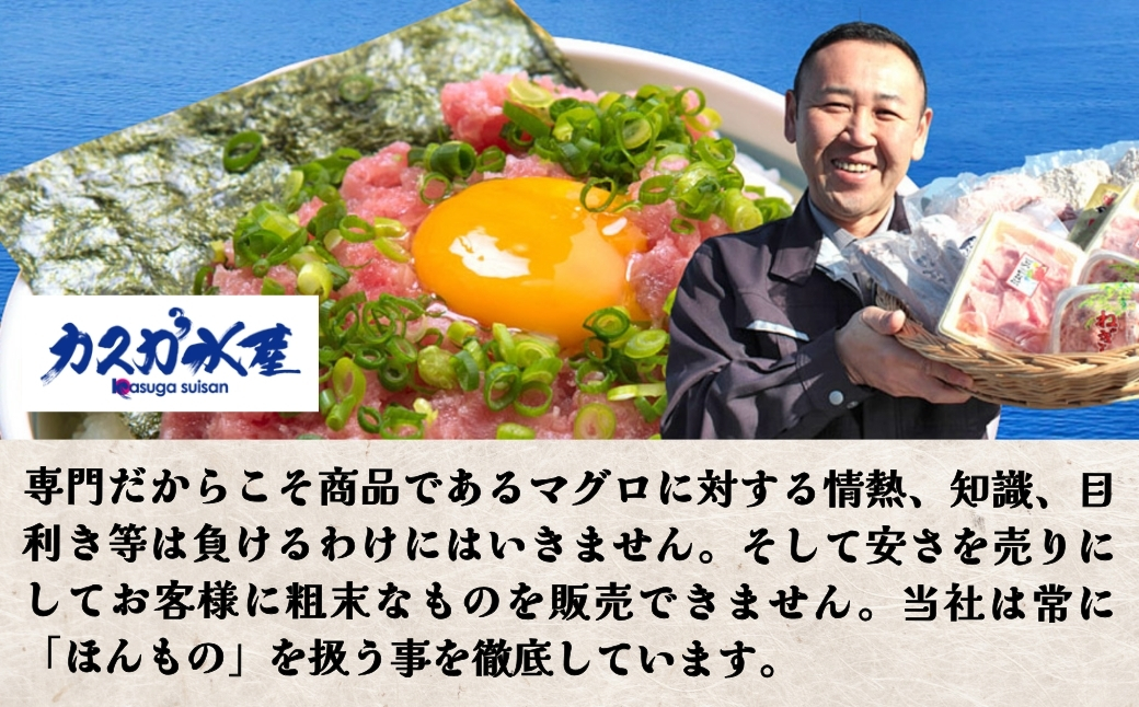 マグロのたたき（ねぎとろ）ざんまい 80g×8P ねぎとろ 小分け 冷凍 マグロ 鮪 まぐろ 大分県産 九州産 津久見市 熨斗対応【tsu000304】