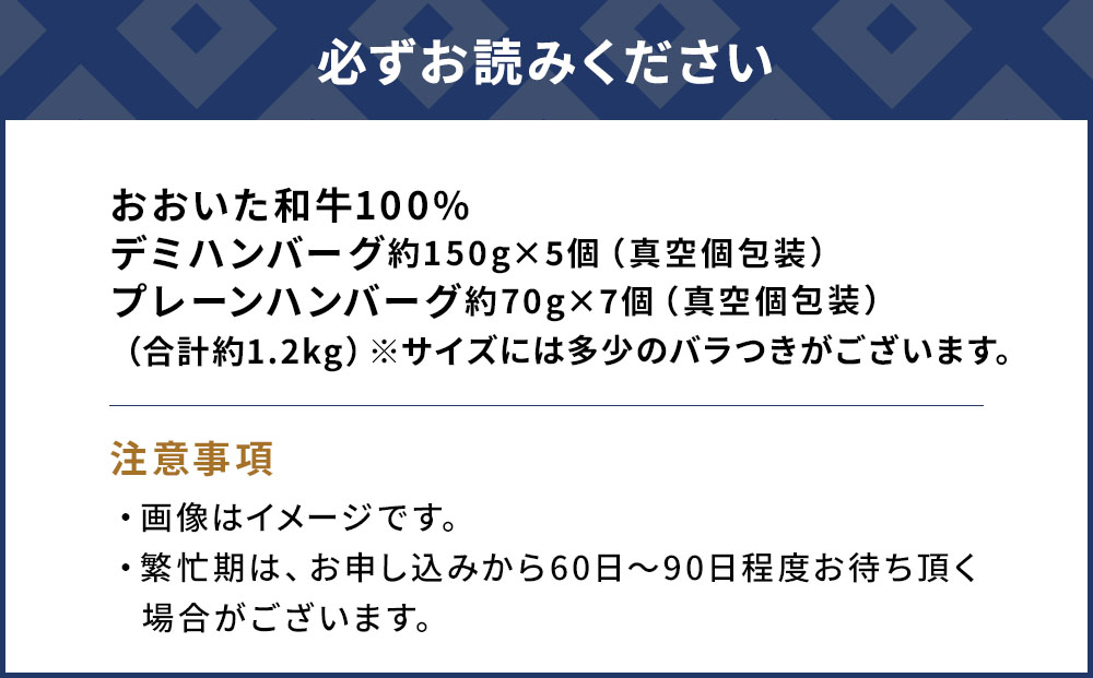 おおいた和牛100% デミ＆プレーンハンバーグ 12個 合計約1.2kg 牛肉 豊後牛 ハンバーグ おかず お弁当 小分け レンジ 時短料理 惣菜 冷凍 大分県産 九州産 津久見市 国産