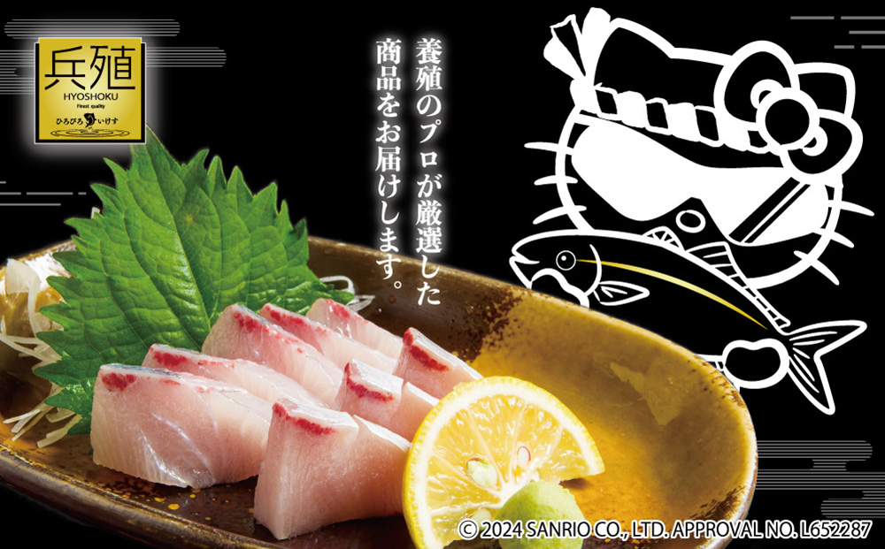 【先行予約】ひろびろいけすぶり(フィレ・片身)1枚 ※11月発送 ぶり 鰤 刺し身 刺身 鰤 大分県産 九州産 津久見市 国産【tsu001101】