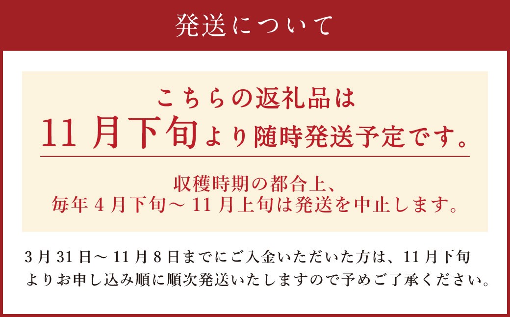 自然薯姫 （青果） 約2kg 【発送不可期間:毎年4月下旬-11月上旬】