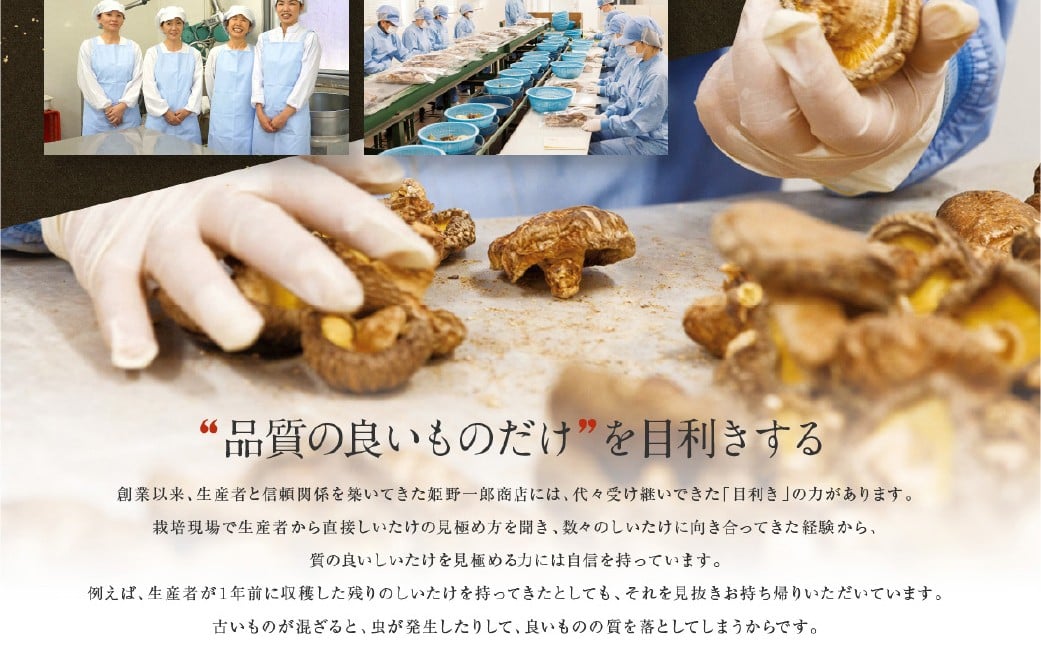 èèæ€èžå°éåºã®éžå è©°åããAã 4ç¹ã»ãã