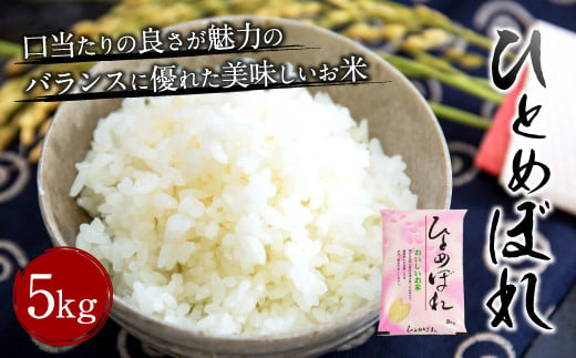 【令和6年産新米】大分県産 ひとめぼれ 5kg 【2024年10月下旬発送開始予定】