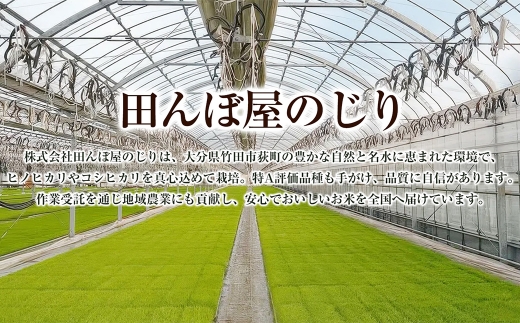 【 人気の2銘柄を食べ比べ！ 】 厳選国産米 2種セット 【 ヒノヒカリ × コシヒカリ 】 （ 各5kg 計10kg ）