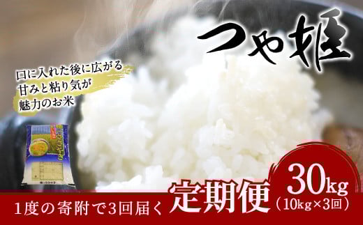 【3ヶ月定期便】 大分県産 つや姫 10kg×3回 計30kg