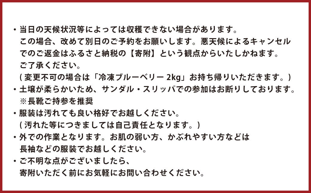 【1組5名まで】 〜自然豊かな久住高原で育ったブルーベリーの収穫体験〜 収穫ブルーベリーのお土産付き！ 【体験期間：毎年6月下旬〜8月下旬】