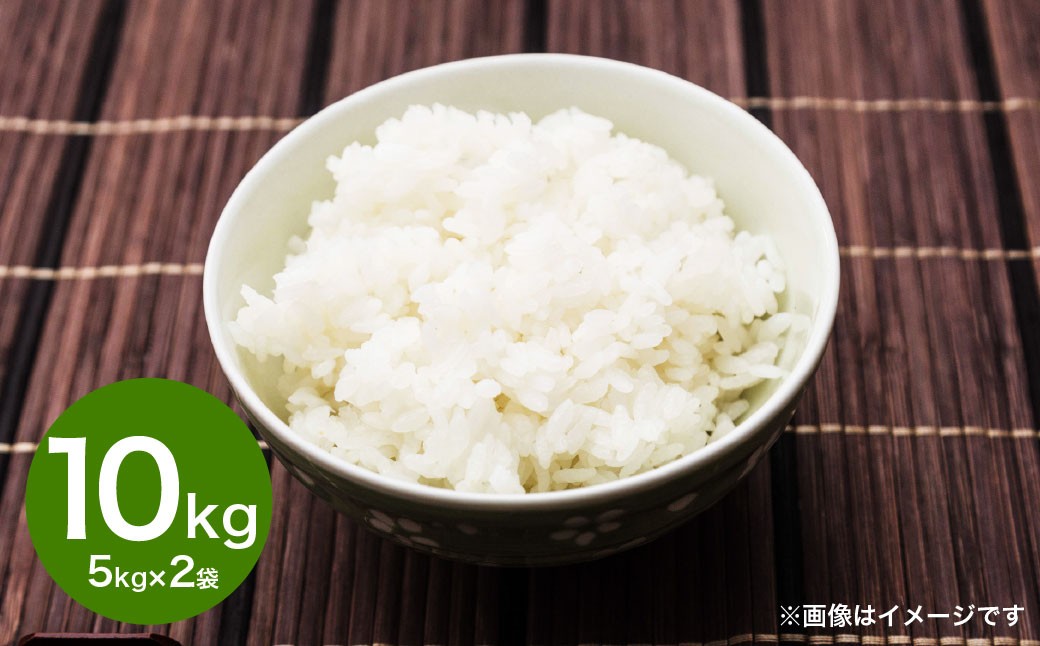 令和7年産 大分県産米 精米 10kg(5kg✕2袋) 【2025年10月上旬より順次発送予定】