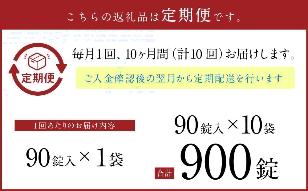 【10ヵ月定期便】【薬用 入浴剤】長湯ホットタブ Classic 90錠入