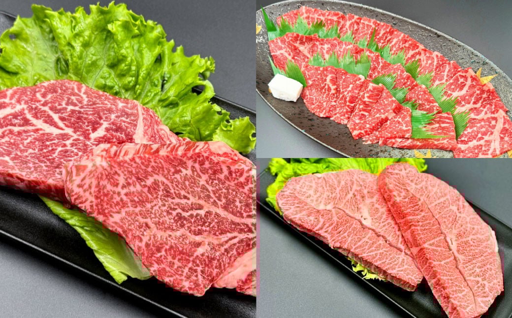 【12ヶ月定期便】毎月替わるおおいた和牛セット！12ヶ月おおいた和牛月替わり 計約4.8kg