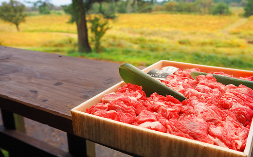 大草原で育った おおいた和牛 切り落とし1.5kg