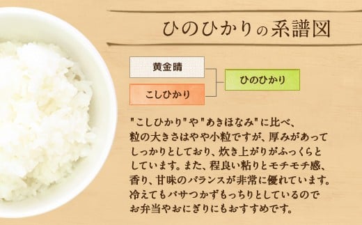 【6ヶ月定期】竹田産名水育ち ひのひかり 5kg×6ヶ月 計30kg 3年連続特A受賞