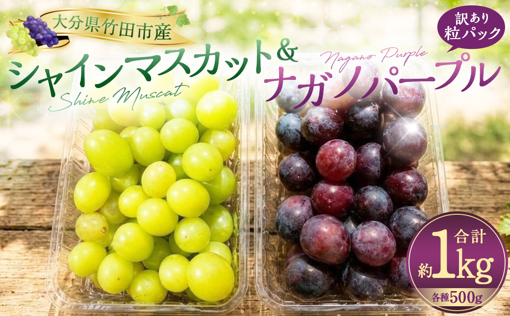 【数量限定】粒パック 訳あり シャインマスカット（約500g）&ナガノパープル（約500g） 計約1kg （各1パック）【2026年8月下旬-11月上旬発送開始予定】