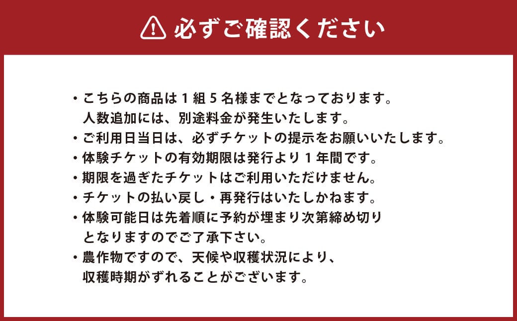 【1組5名まで】 〜自然豊かな久住高原で育ったブルーベリーの収穫体験〜 収穫ブルーベリーのお土産付き！ 【体験期間：毎年6月下旬〜8月下旬】