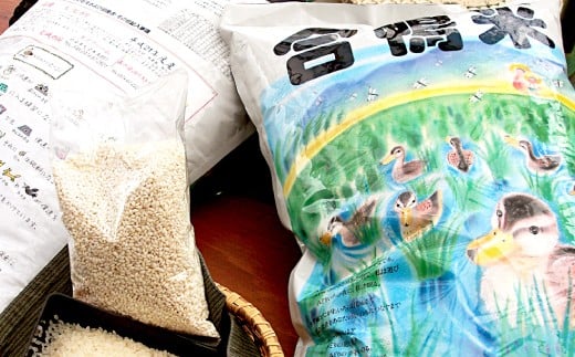 縲井サ、蜥7蟷エ逕」縲画幃エィ邀ウ 逋ス邀ウ 10kg縲2025蟷エ10譛井ク頑流ス2026蟷エ10譛井ク頑流逋コ騾∽コ亥ョ壹