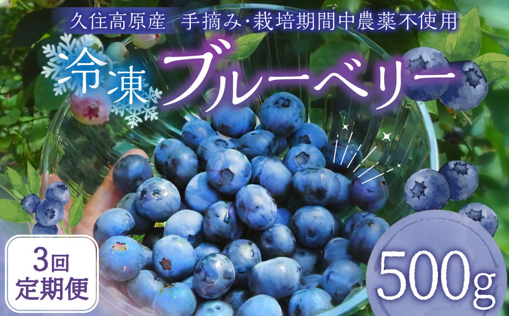 【3回 定期便】久住高原 冷凍 ブルーベリー 500g 計1.5kg 栽培期間中農薬不使用 手摘み