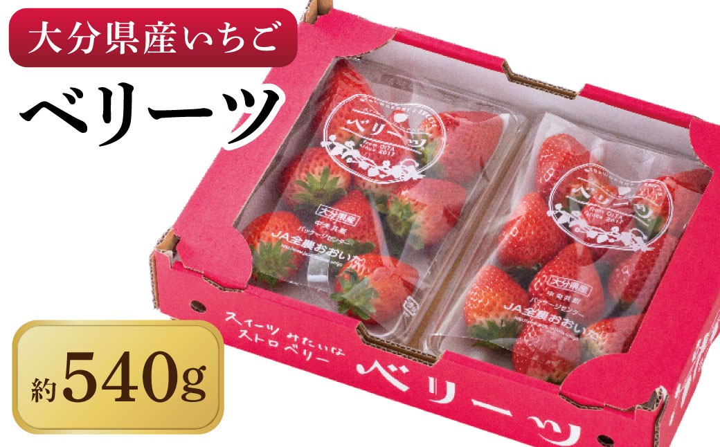 化粧箱入り ベリーツ 約540g 【2026年2月下旬-3月下旬発送】