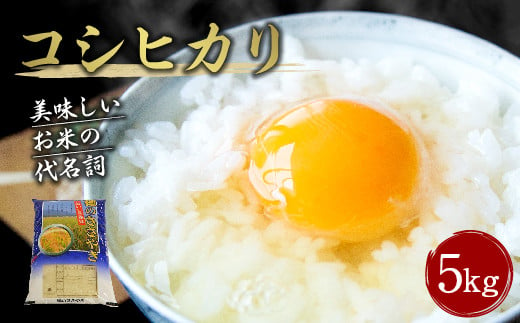 【令和6年産新米】大分県産 コシヒカリ 5kg 【2024年10月下旬発送開始予定】 