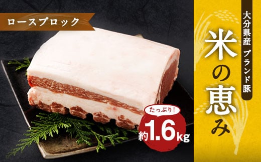 大分県産ブランド豚 奥豊後豚（米の恵み） ロースブロック 1.6kg (1.6kg×1) 豚肉