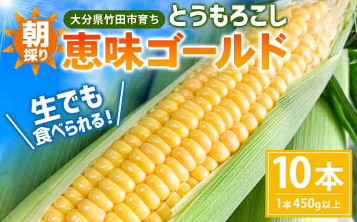 朝採りとうもろこし 恵味ゴールド 10本入り 【2026年7月上旬～8月上旬発送予定】