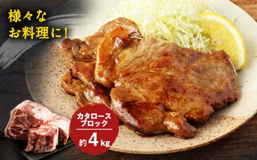 大分県産ブランド豚「米の恵み」カタロースブロック 4.0kg (2.0kg×2) 豚肉 肩ロース
