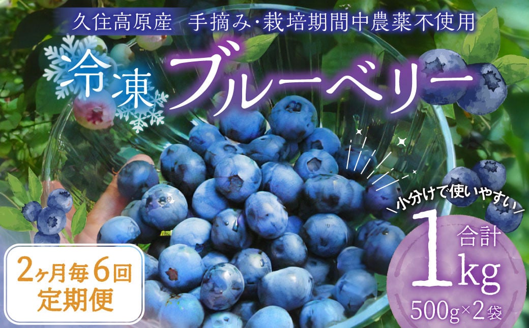 【2ヶ月毎6回 定期便】久住高原 手摘みブルーベリー 冷凍 500g 2袋 計6kg 小分け 栽培期間中農薬不使用